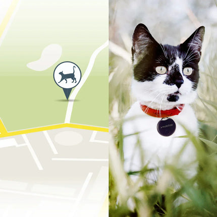 Mobilize Find My Smart Tag Black