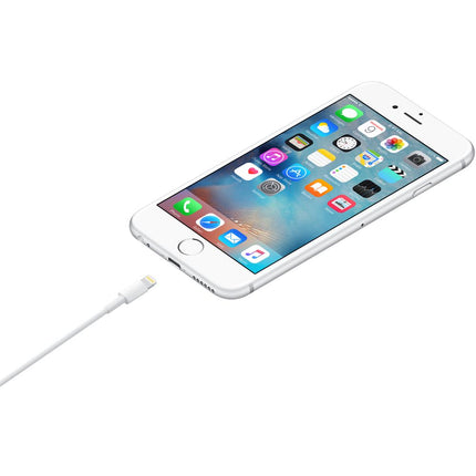 Apple Lightning - USB-A Cable 1m