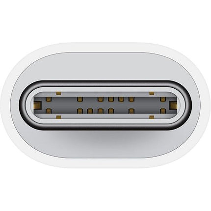 Apple Usb C to Lightning Adapter