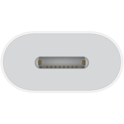Apple Usb C to Lightning Adapter