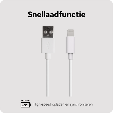Essential USB-A to Lightning Cable - 20cm - White